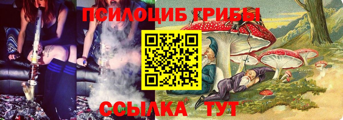 Махачкала  Псилоцибиновые грибы Cubensis  Вход с VPN 