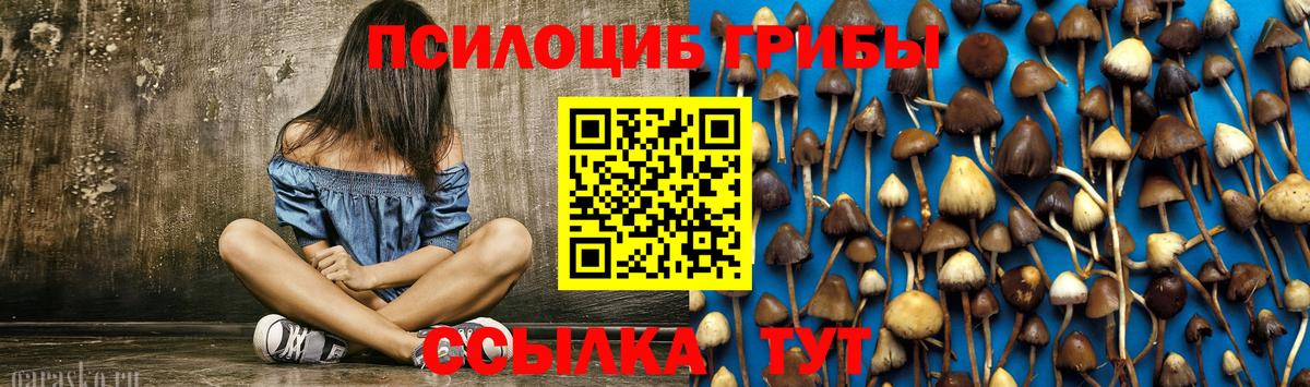 Псилоцибиновые грибы GOLDEN TEACHER Махачкала